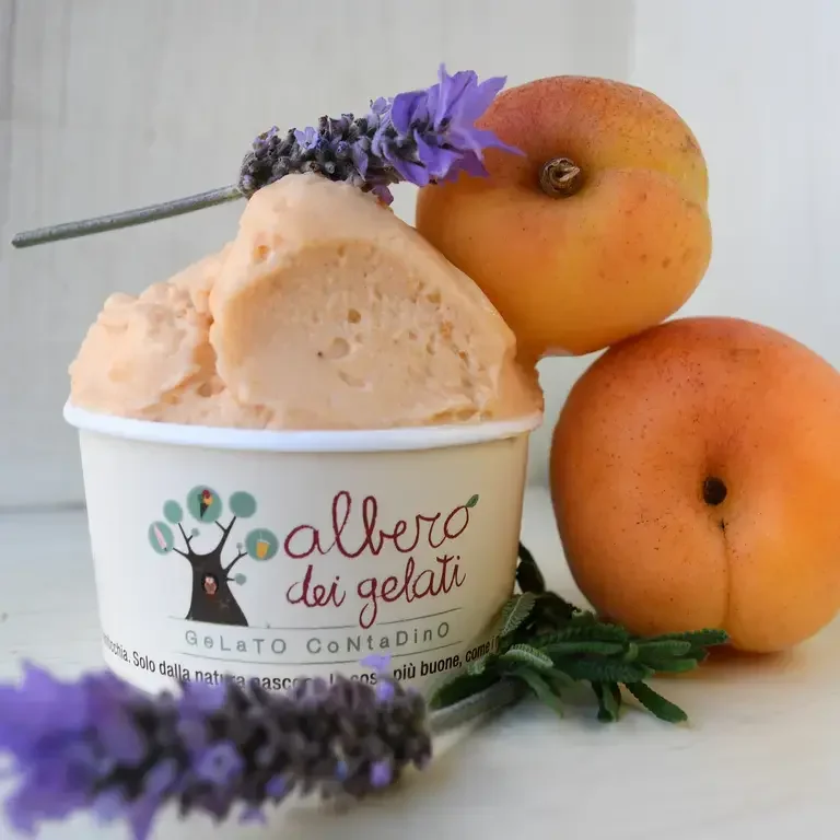 L'Albero dei Gelati