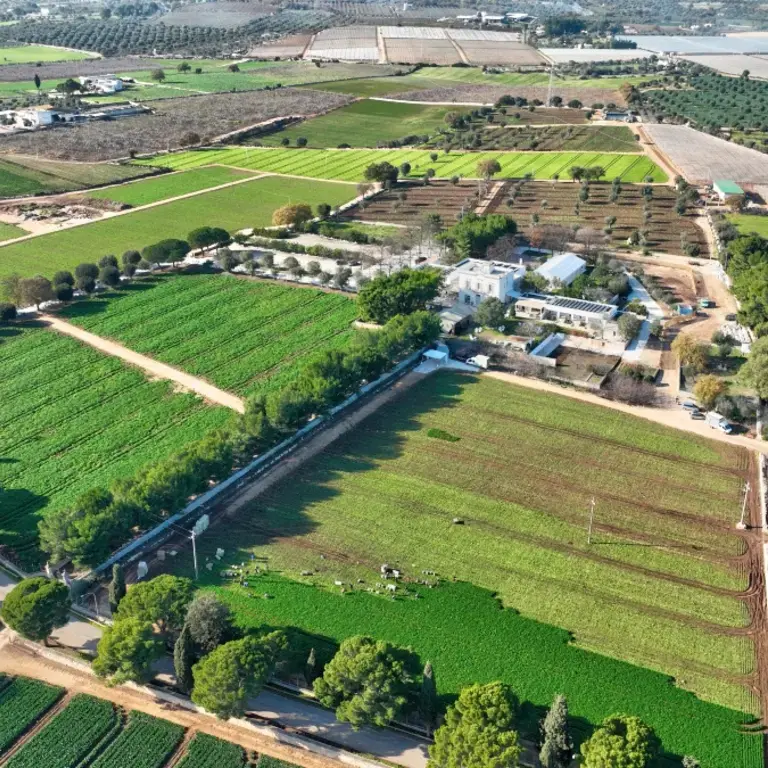 pashà - masseria mancini