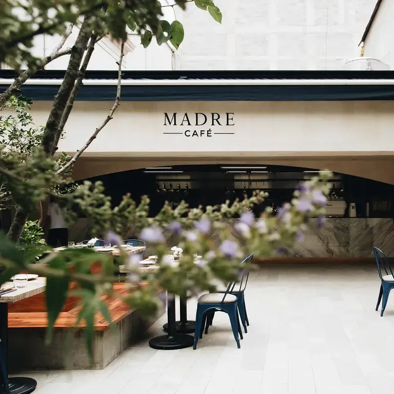 Mexico city dove mangiare Madre Café