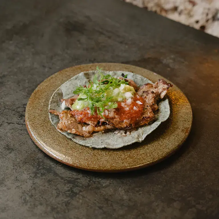 Mexico city dove mangiare Maizajo