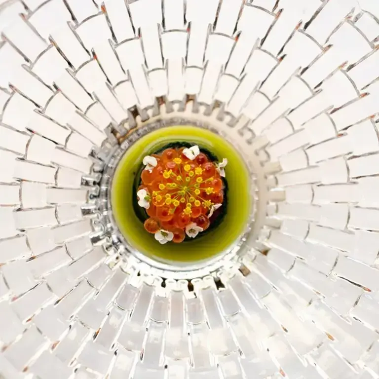 Un piatto di Bottiglieria 1881