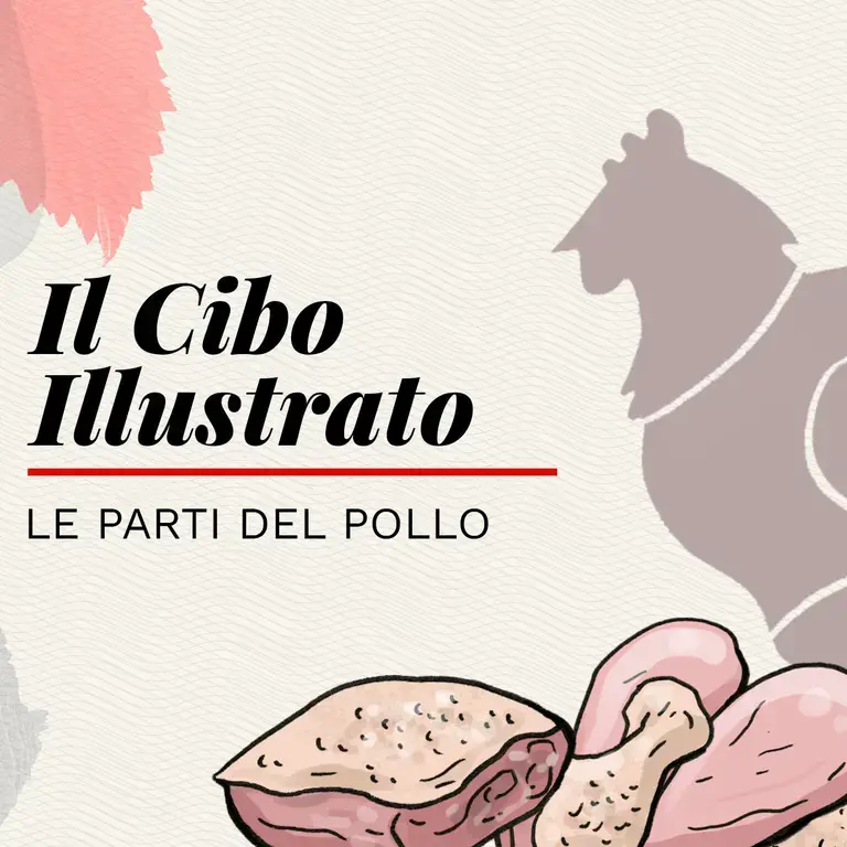 Le parti del pollo