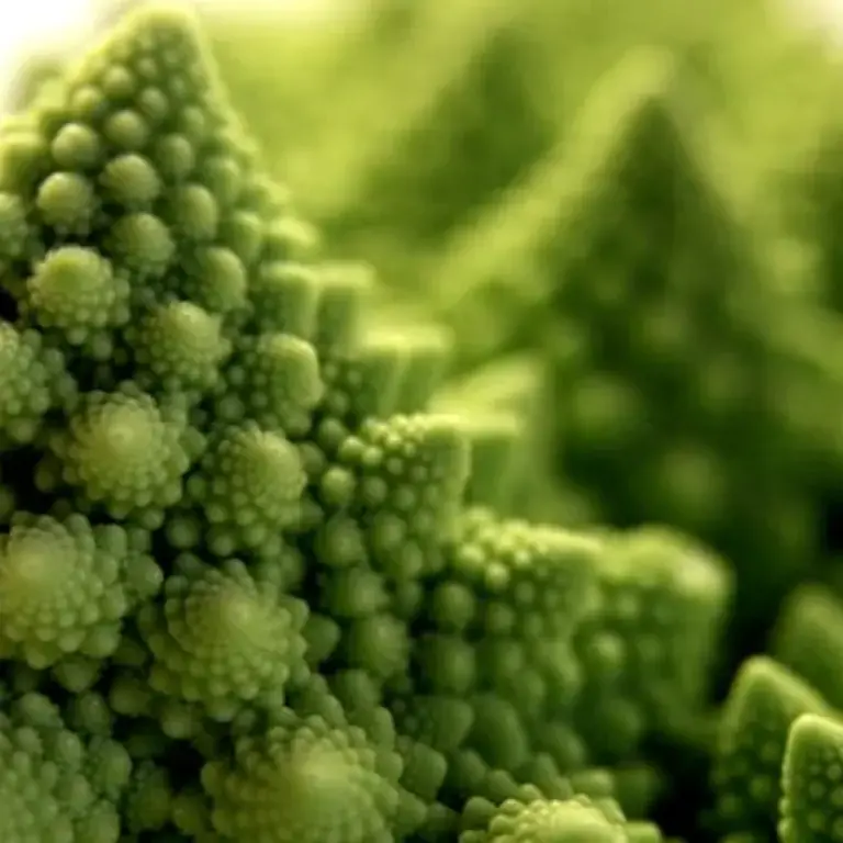 allergia-al-nichel-cibo