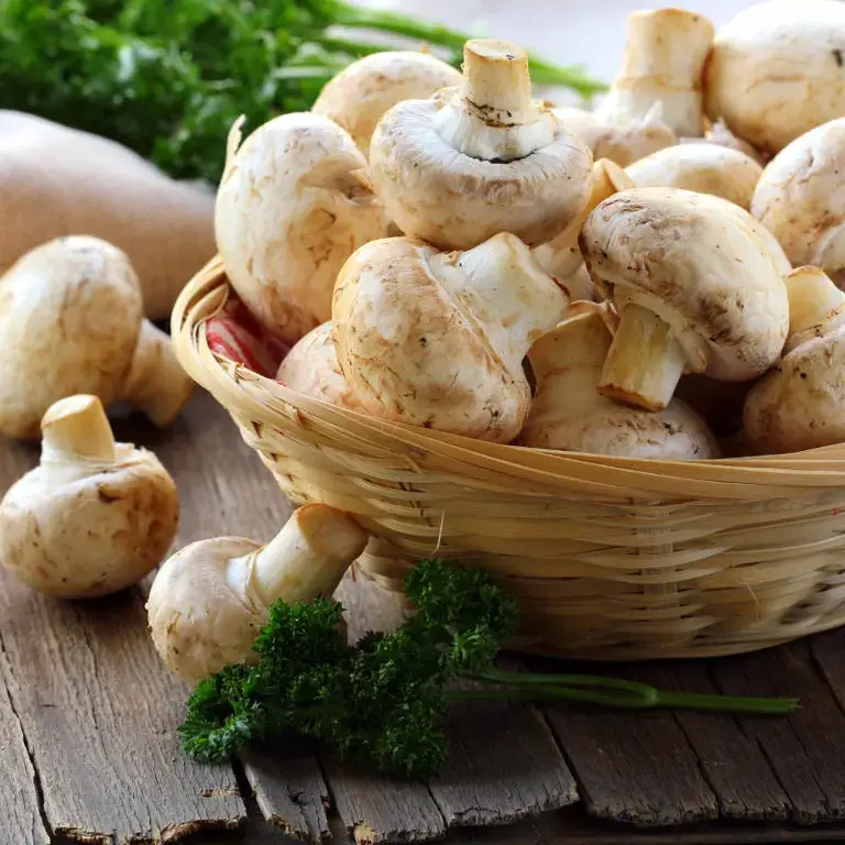 come pulire i funghi champignon - Fine Dining Lovers