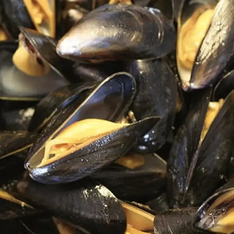 come-cucinare-le-cozze-ricette