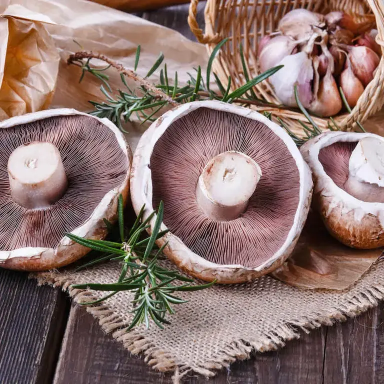 funghi portobello - Fine Dining Lovers