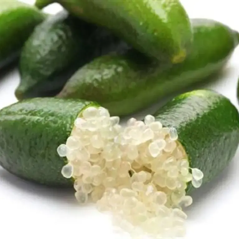 Il caviale di limone e i frutti strani