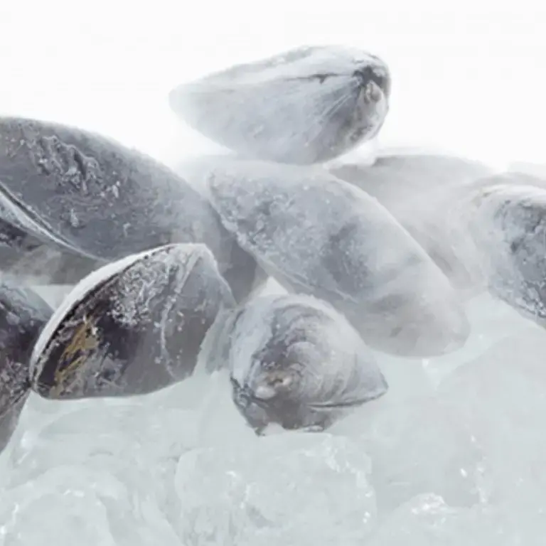 quali-cibi-si-possono-congelare