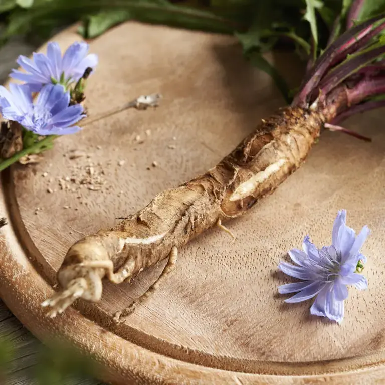 radici amare - Fine Dining Lovers