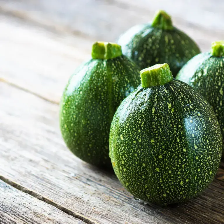 zucchine tonde - Fine Dining Lovers