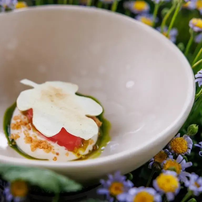 Namelaka ai germogli di foglie di fico, sorbetto alla fragola e melissa