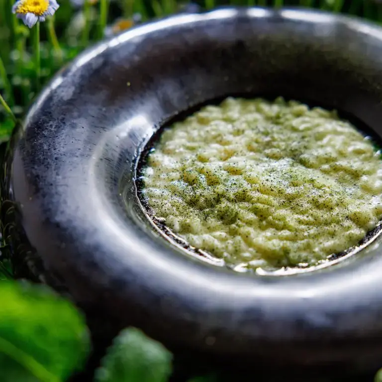 Risotto con fave, cedro e crescione d'acqua