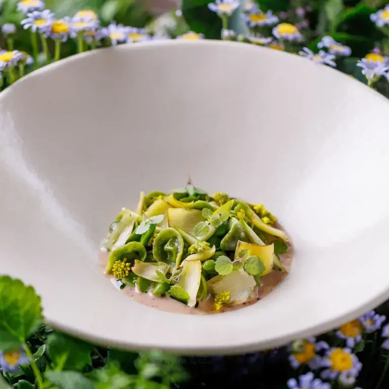 Tortellini con vignarola e fava di cacao