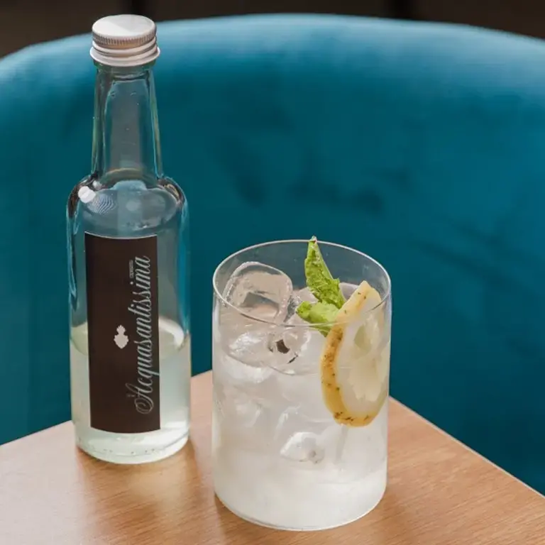 Gin Tonic Acquasantissima