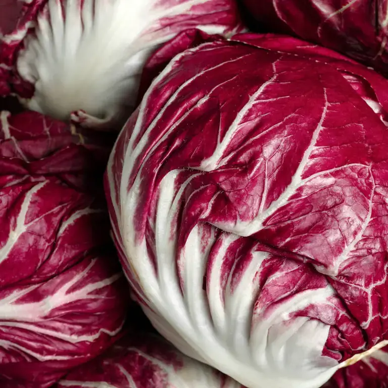 radicchio in padella - Fine Dining Lovers