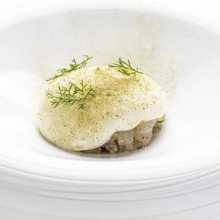 Ricciola in ceviche con finocchietto e codium