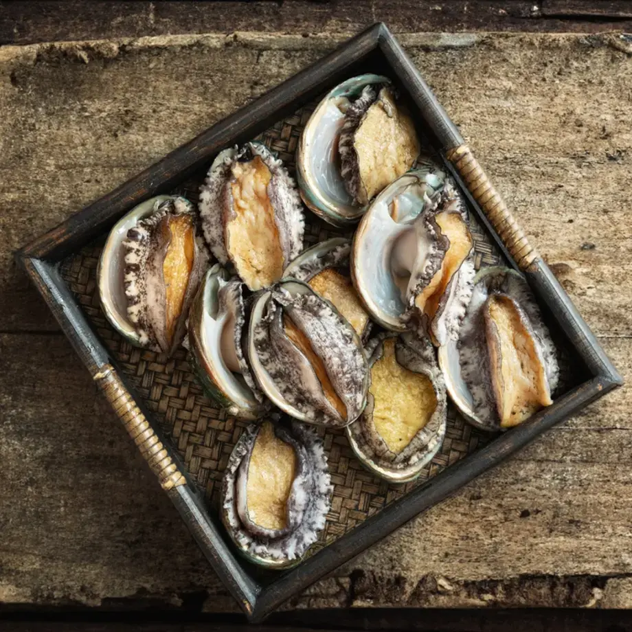 Abalone