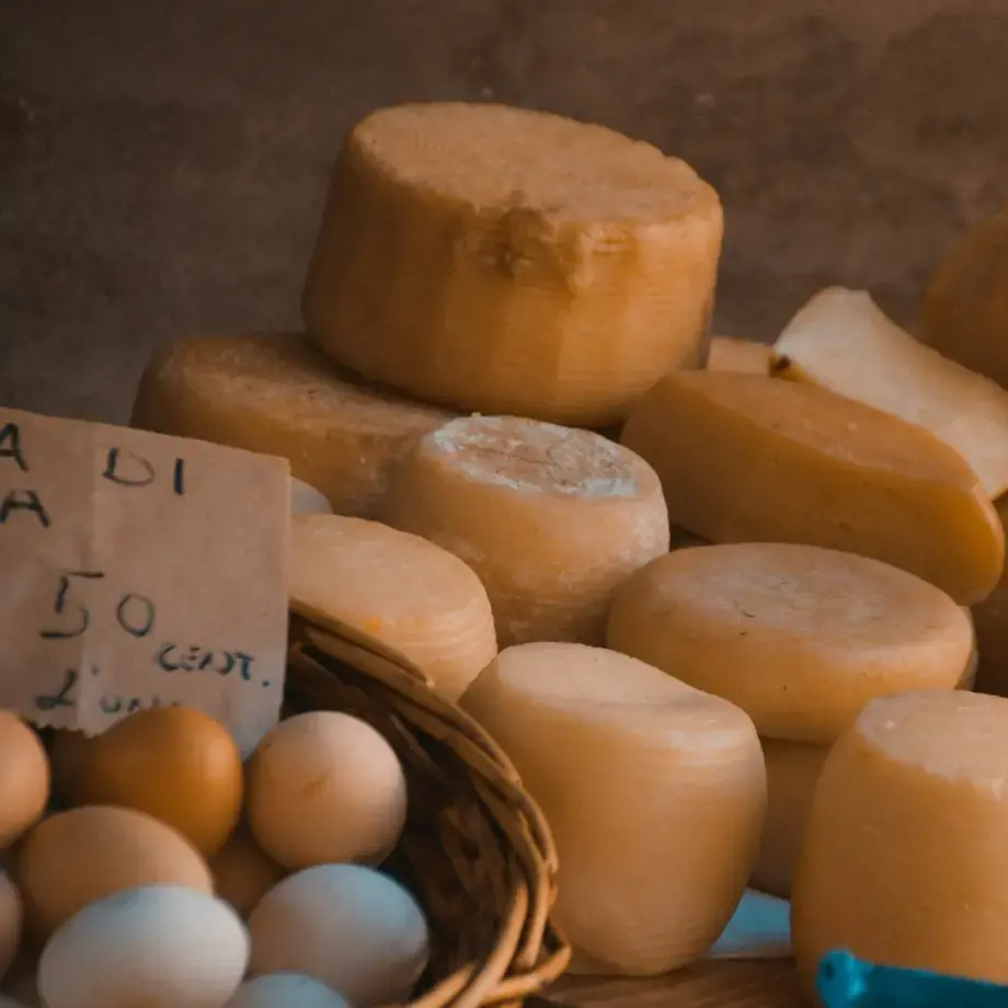 Non solo formaggi: i migliori produttori della campagna lodigiana