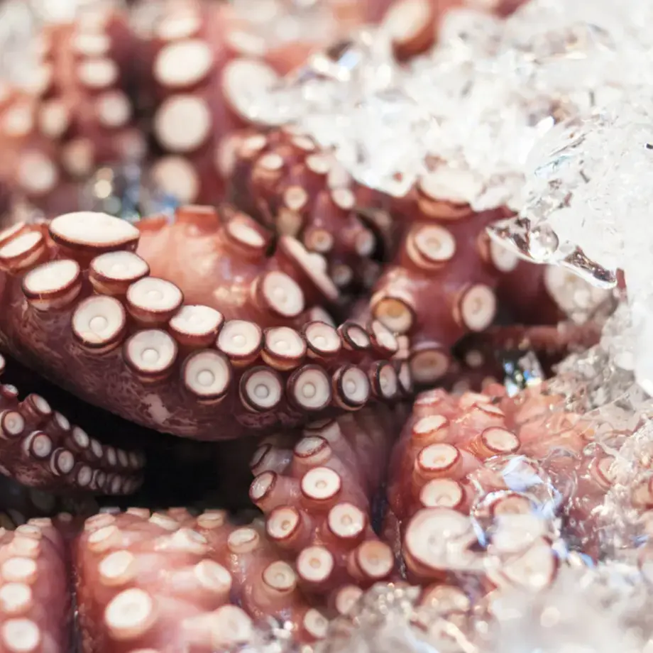 come pulire il polpo - Fine Dining Lovers