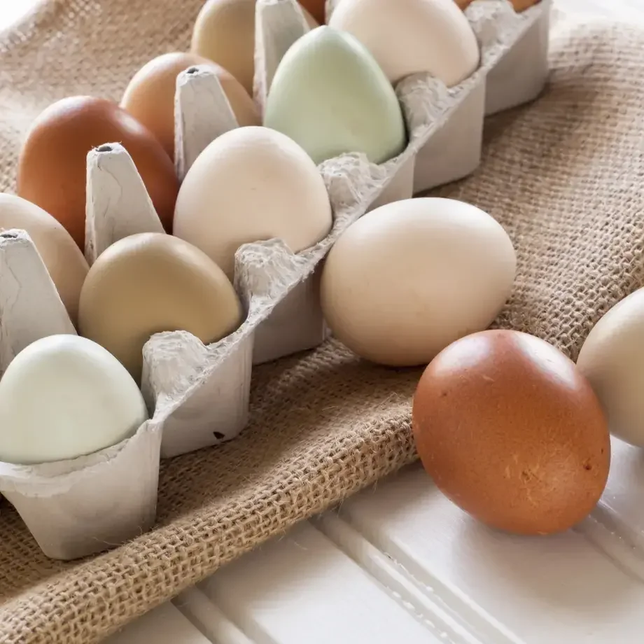 come pastorizzare le uova - Fine Dining Lovers