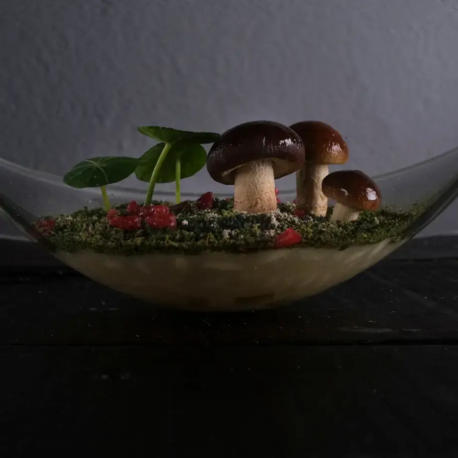 Un piatto di Edoardo Tilli - Podere Belvedere