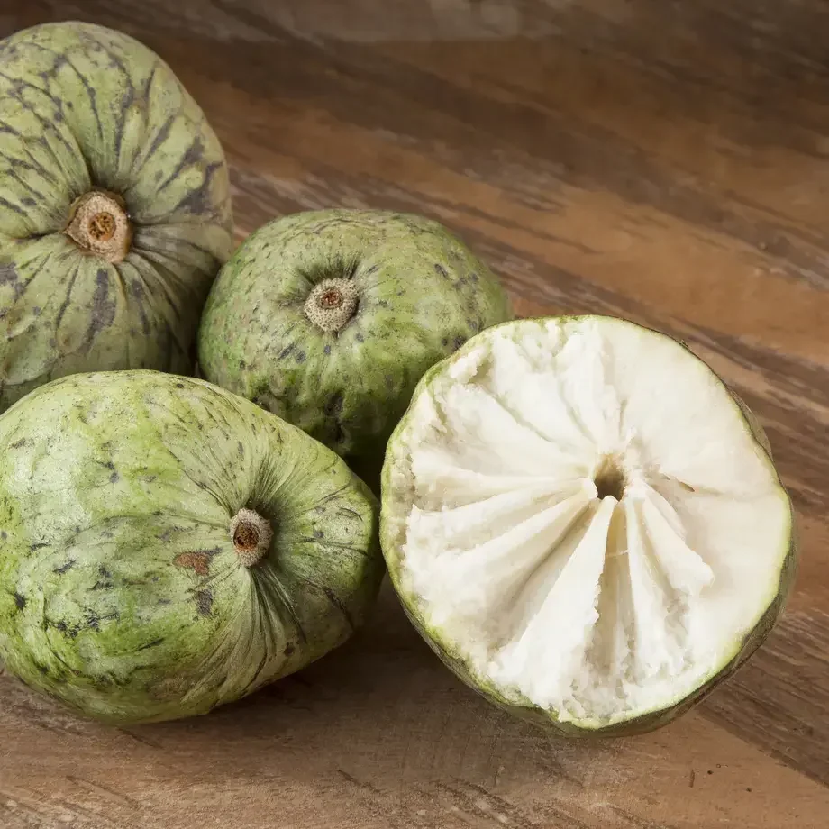 annona - Fine Dining Lovers