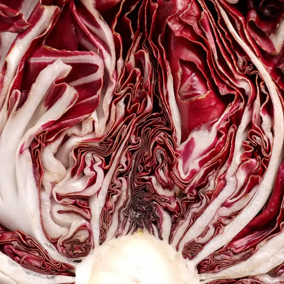 come cucinare il radicchio - Fine Dining Lovers