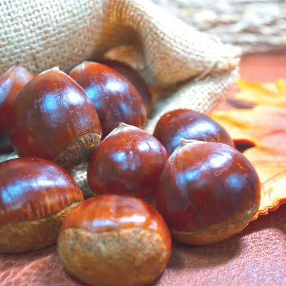 10 ricette con castagne lesse dolci e salate