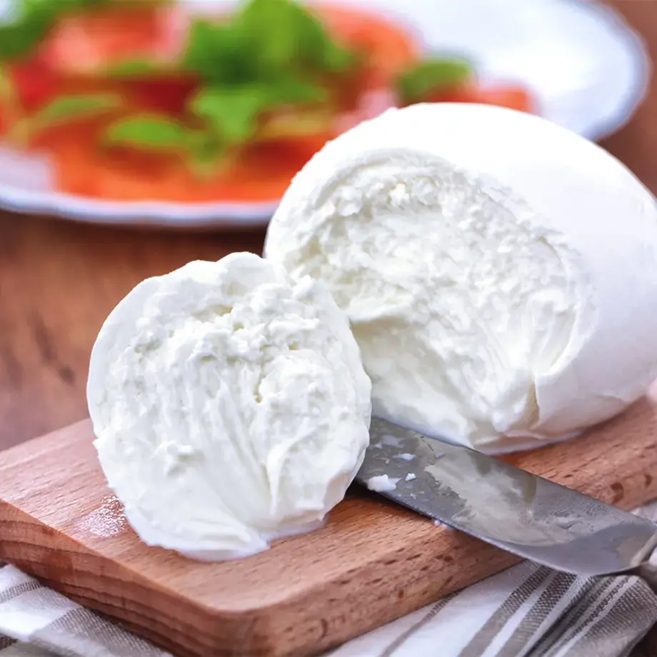Ricette con mozzarella