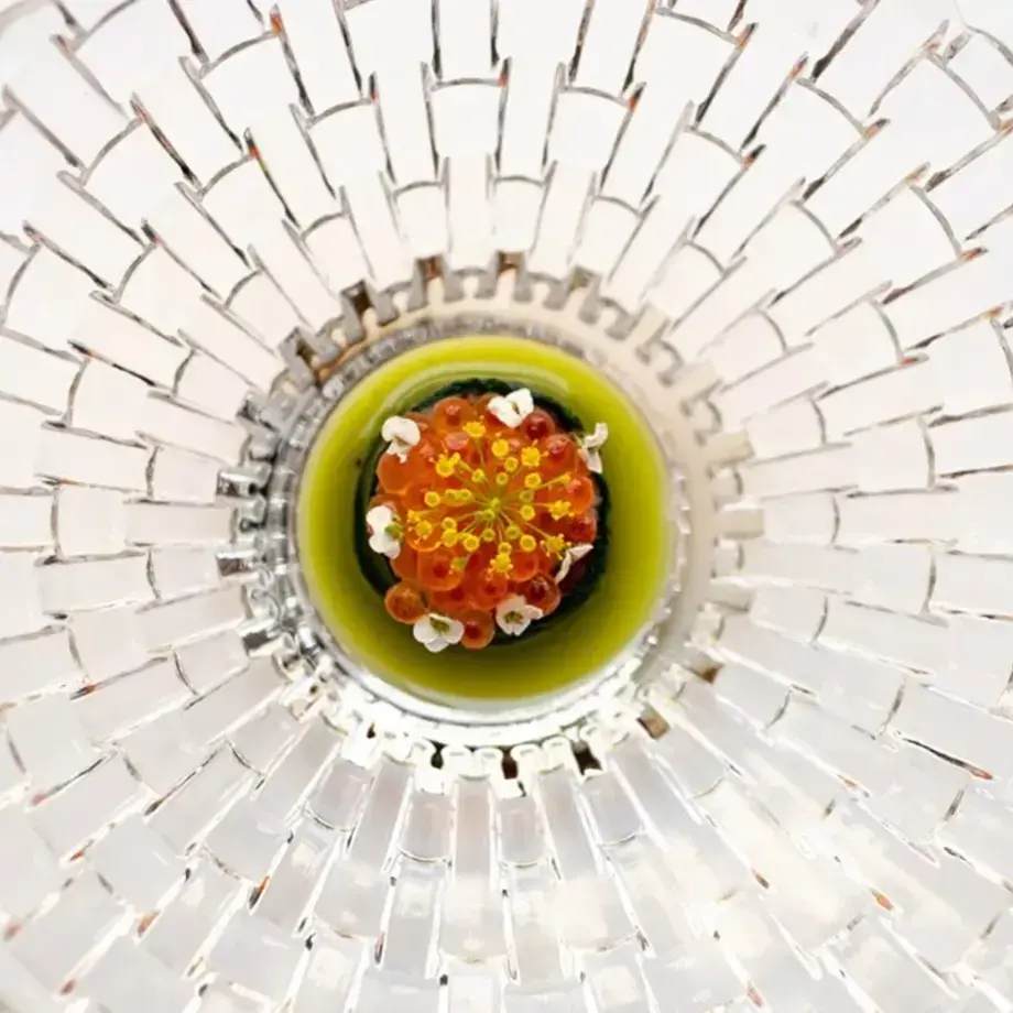 Un piatto di Bottiglieria 1881