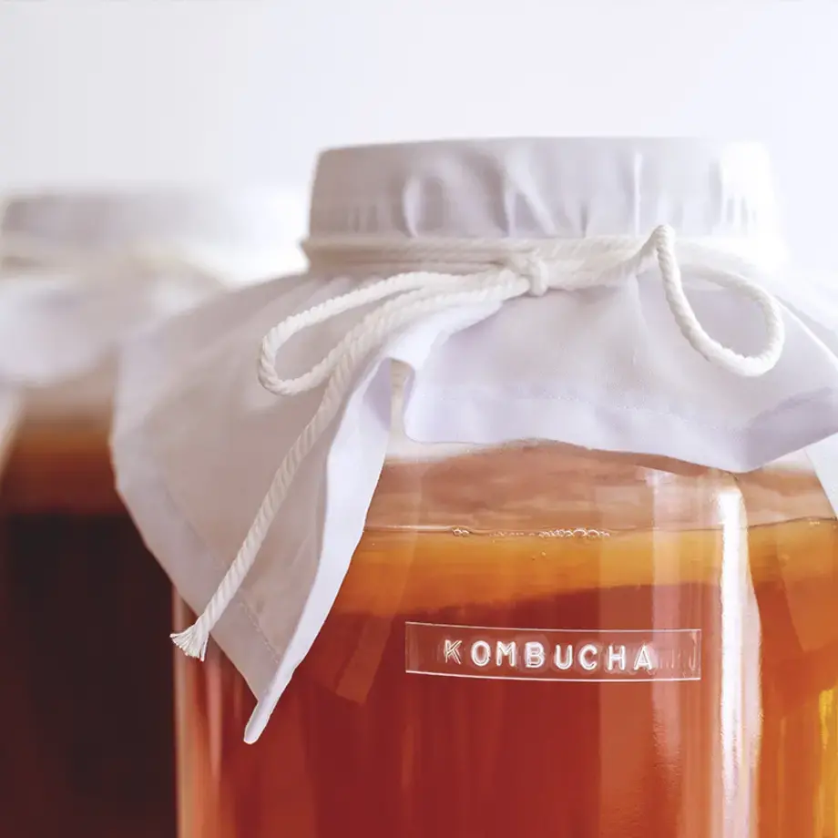 come fare il kombucha a casa