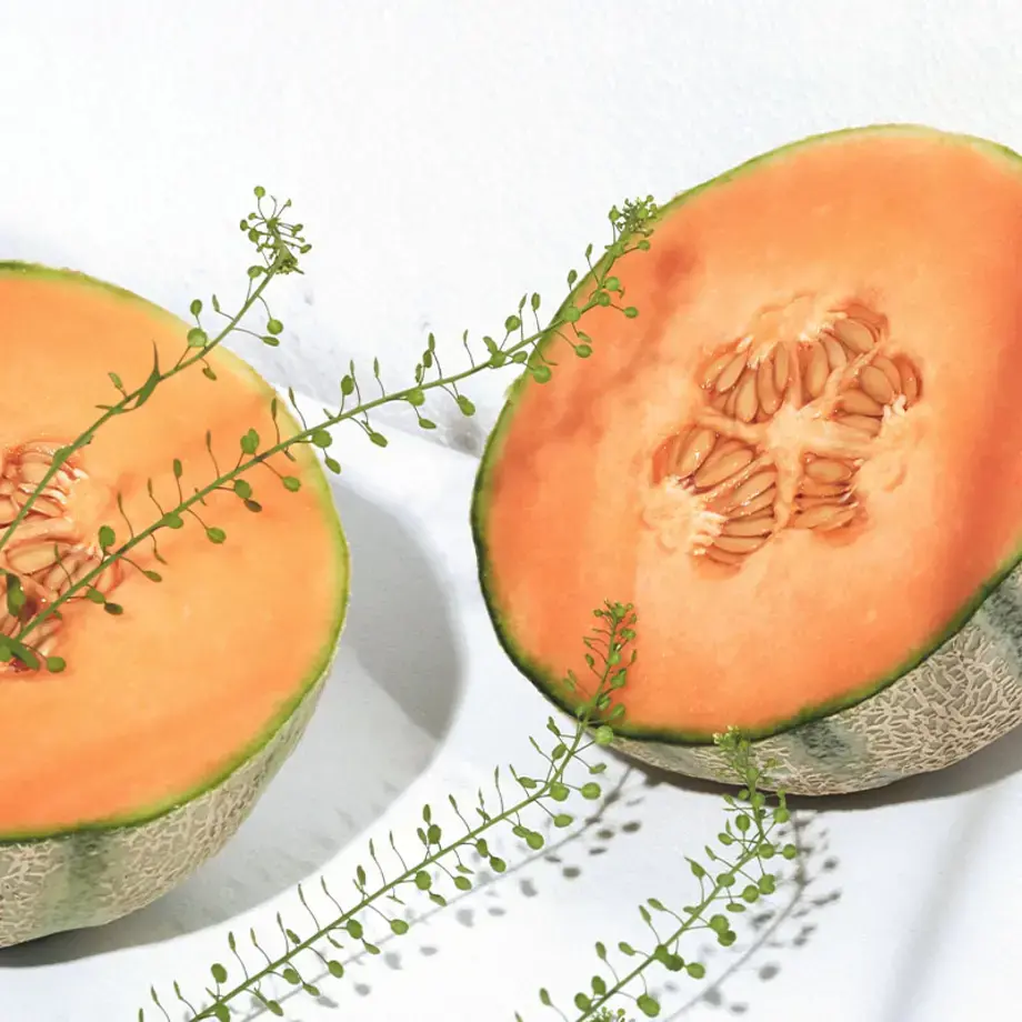 Come scegliere il melone - Finedininglovers