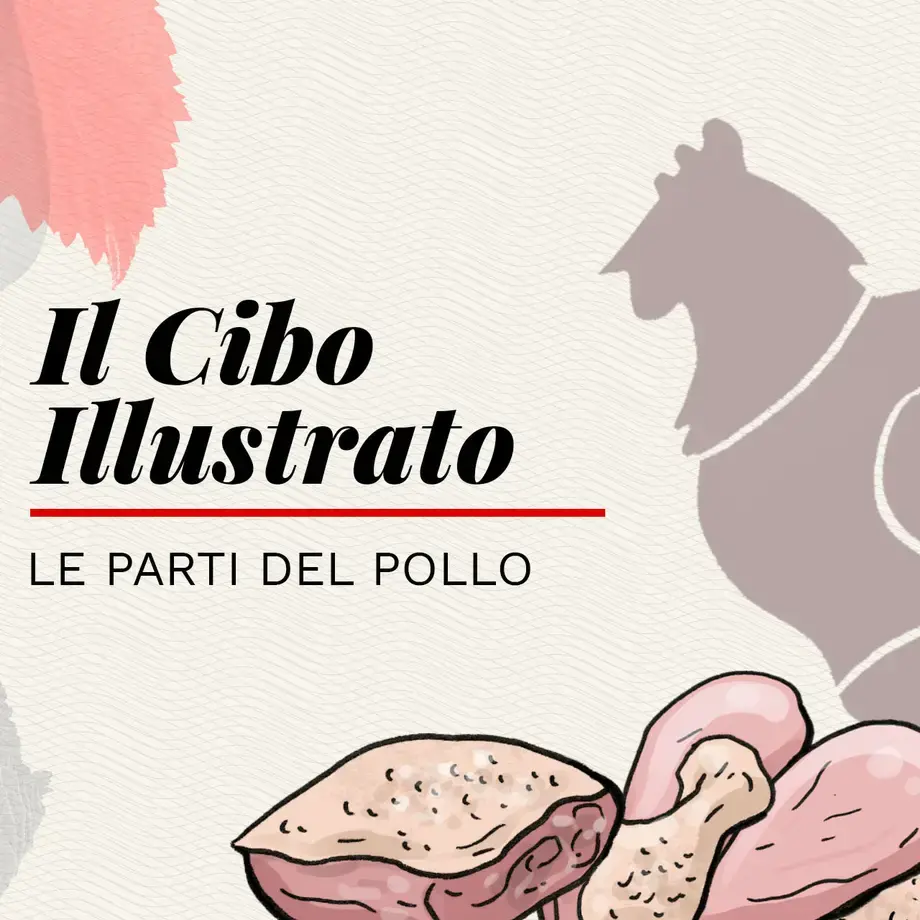 Le parti del pollo