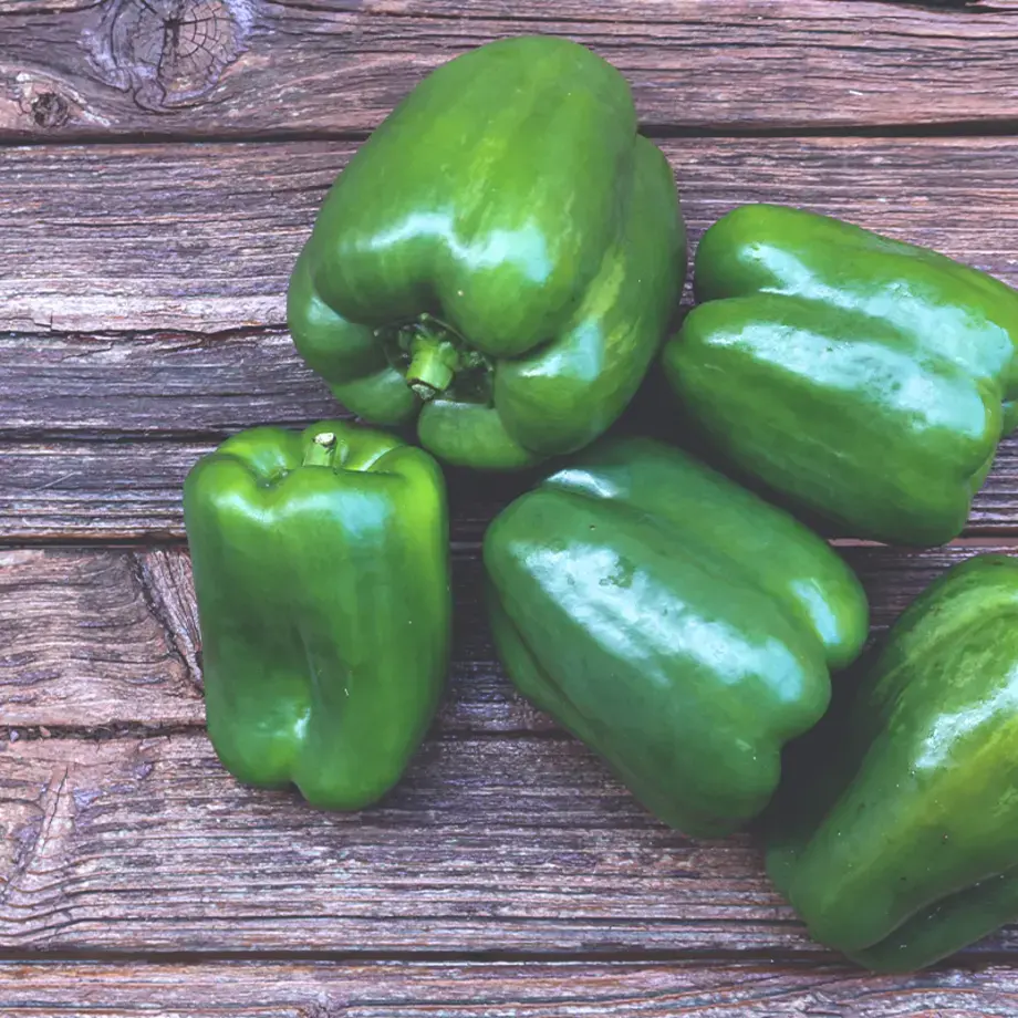 Peperoni verdi 3 ricette da provare