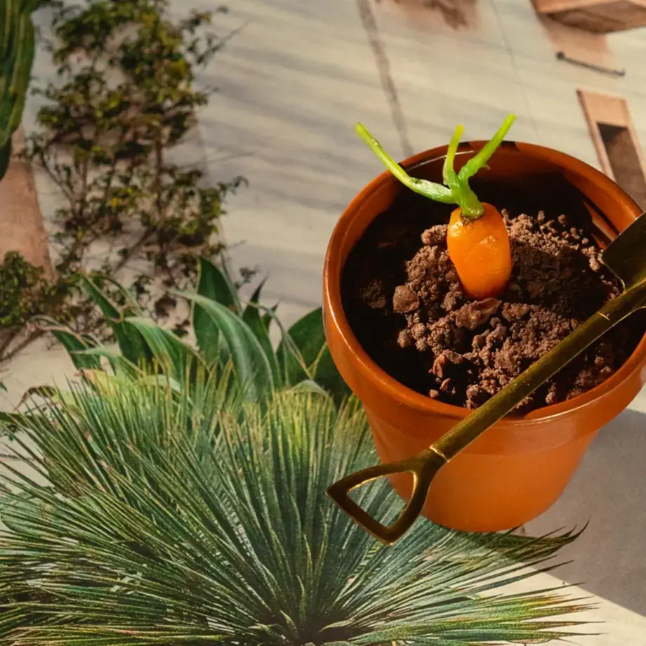 Il Terramisù di Casaloca