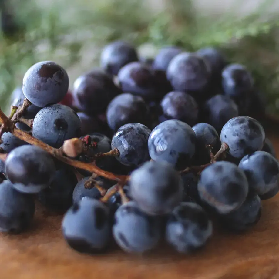 Tipi di uva - Finedininglovers