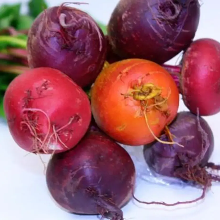 barbabietole-fresche-ricette