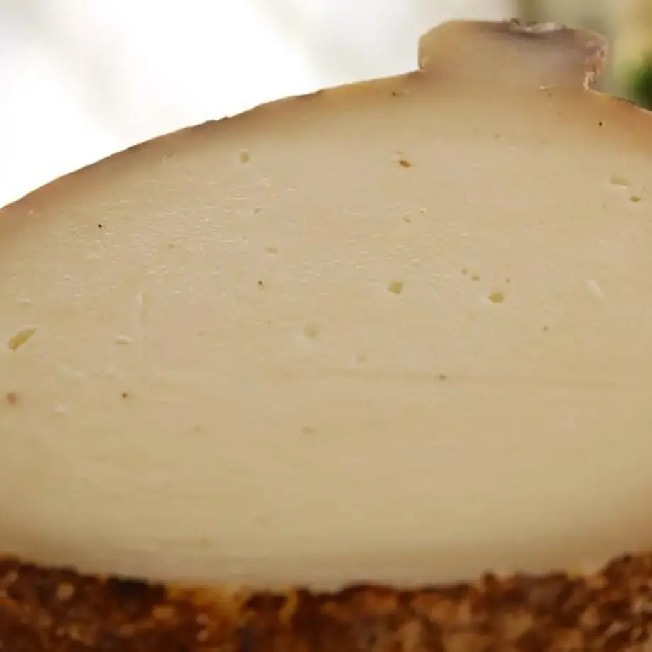 caciocavallo-podolico