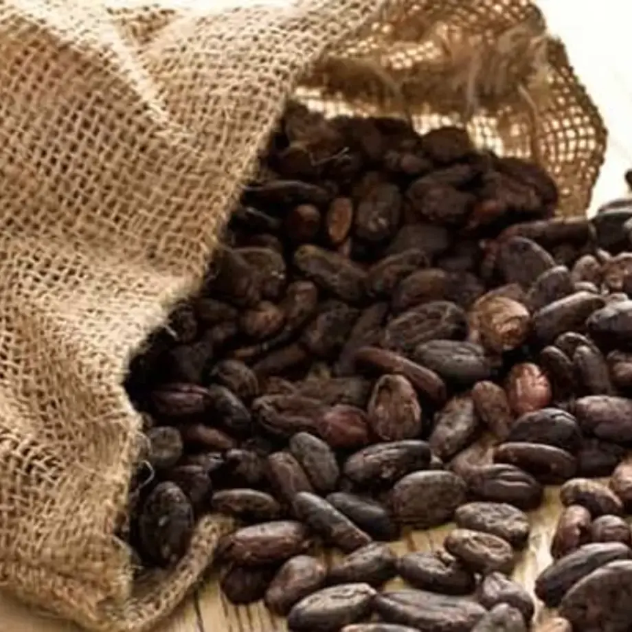 cioccolato-fatto-in-casa-dai-chicchi