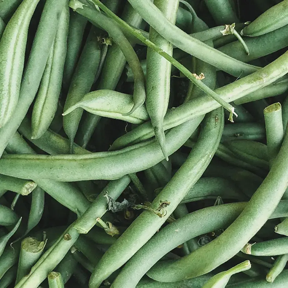 come congelare i fagiolini