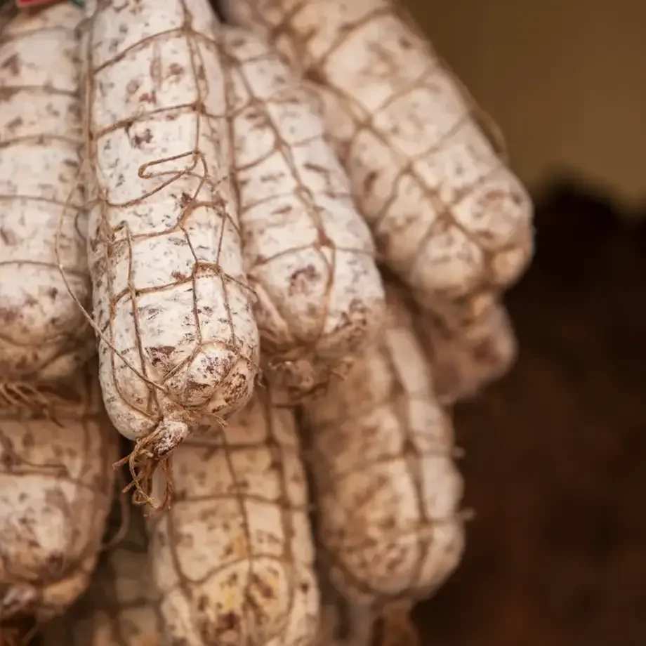 come conservare il salame