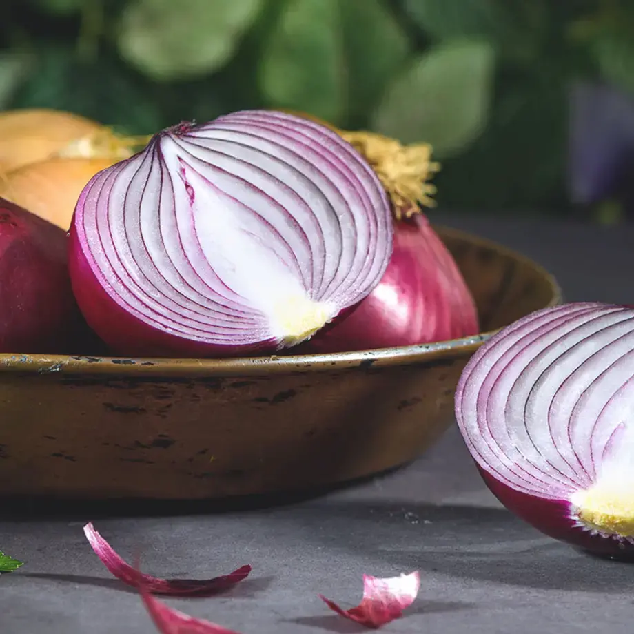 come conservare le cipolle