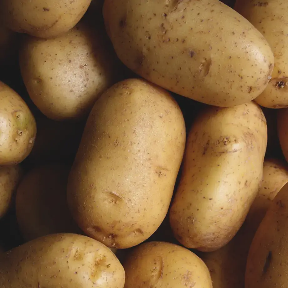 come conservare le patate