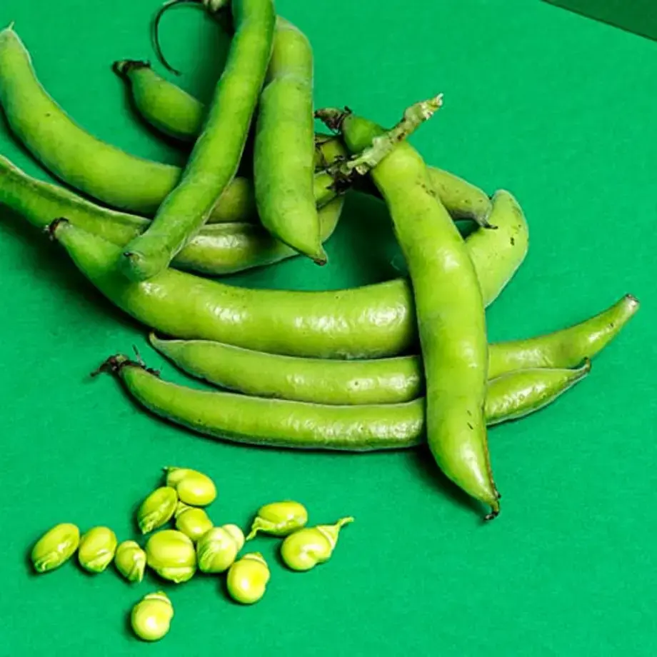 come-congelare-le-fave-fresche