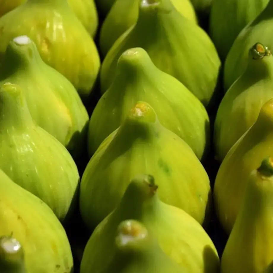 come-conservare-fichi