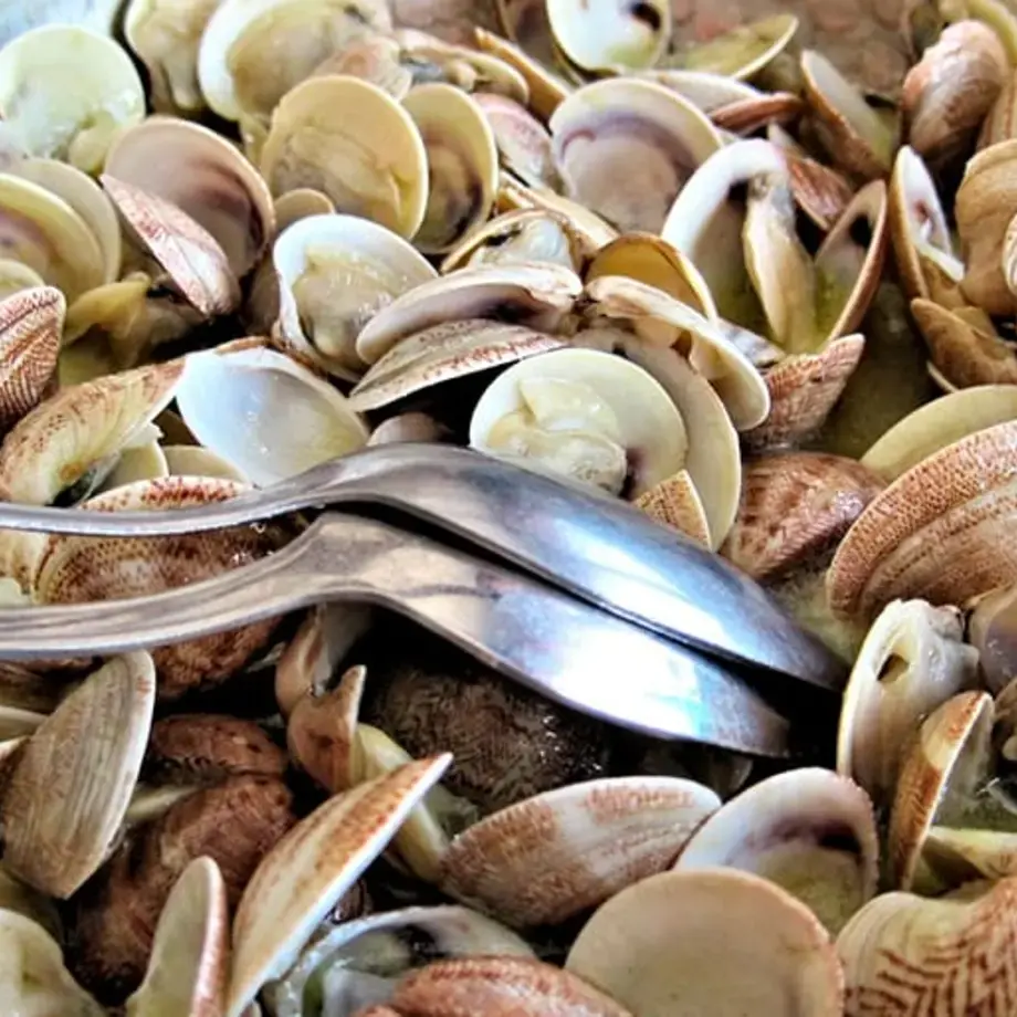 come-conservare-vongole