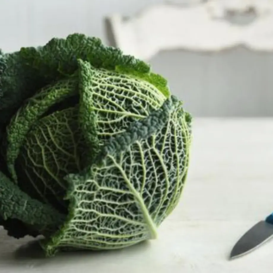 come-cucinare-la-verza