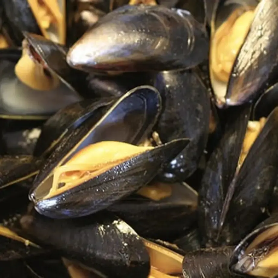 come-cucinare-le-cozze-ricette