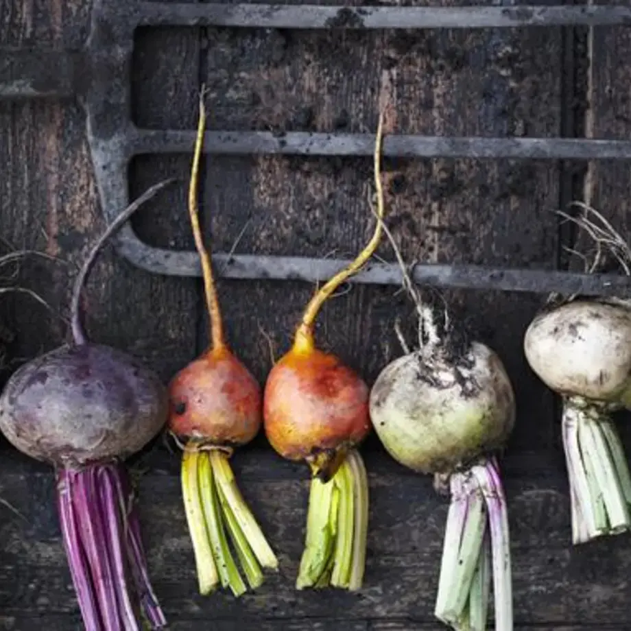 come-cucinare-le-rape