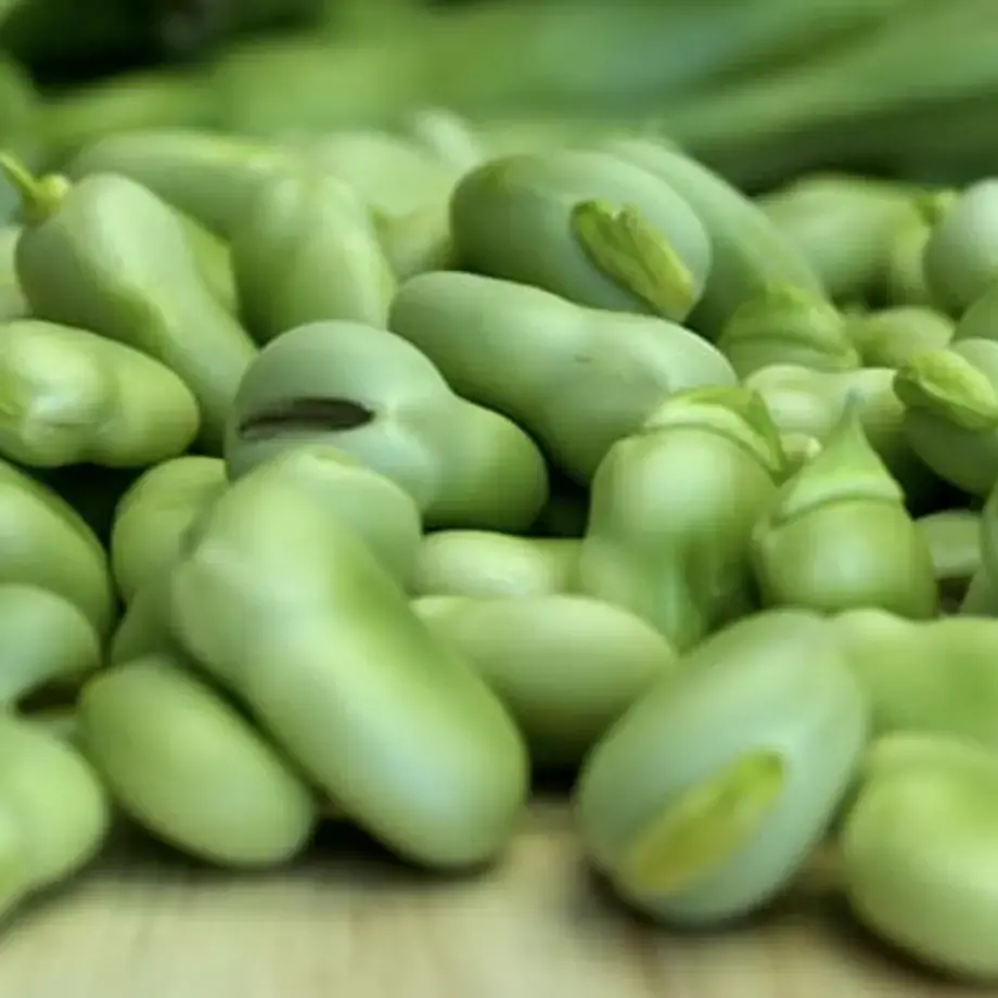 Come mangiare le fave fresche